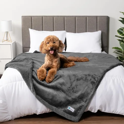Miniatura 28 de PetAmi - Manta impermeable para perros medianos, cachorros, gatos pequeños Manta suave de forro polar Sherpa para mascotas, para sofá, sofá, funda