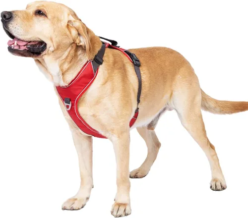 Miniatura 6 de Arnés para perro sin tirones con 2 clips para correa, chaleco reflectante, ajustable y acolchado, clips delanteros y traseros fáciles de caminar