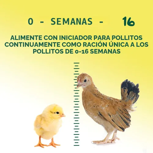 Miniatura 6 de Manna Pro Alimento Medicado para Pollitos Crecedores – Migas de Alta Proteína con Amprolio para Prevención de Coccidiosis – Alimento Completo