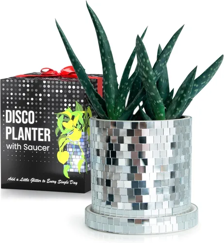 Miniatura 6 de SCANDINORDICA Maceta de bola de discoteca – Jarrón de bola de discoteca de espejo de 4.3 pulgadas, maceta de discoteca, macetas de cerámica