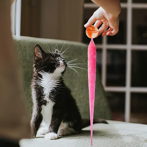 Miniatura 5 de SHENGSEN Pelota que Rebota con Cola Juguetes para Gatos-5 Paquetes, Gusano Mágico con Juguete de Pelota Grande y Colorida para Gatos, Pelotas que
