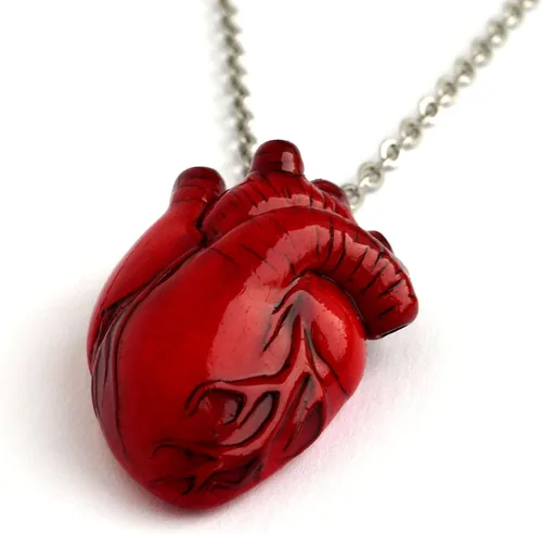 Miniatura 13 de Collar de corazón anatómico