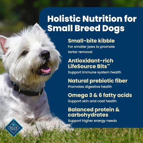 Miniatura 3 de Blue Buffalo Life Protection Formula - Alimento seco para perros adultos de raza pequeña, soporta altas necesidades de energía, hecho