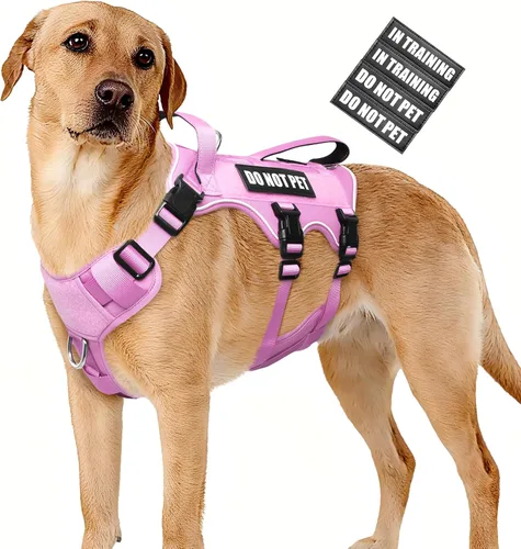 Miniatura 10 de WINSEE - Arnés para perro a prueba de fugas, arnés Molle de servicio y trabajo con doble asa, chaleco táctico para mascotas con 4 parches