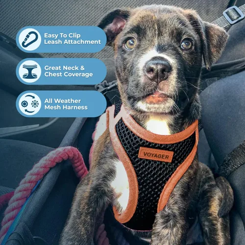Miniatura 3 de Best Pet Supplies - Malla para todo tipo de clima/felpa, reflectante, arnés antitirones para perros pequeños, medianos y gatos - Seguro con cierre