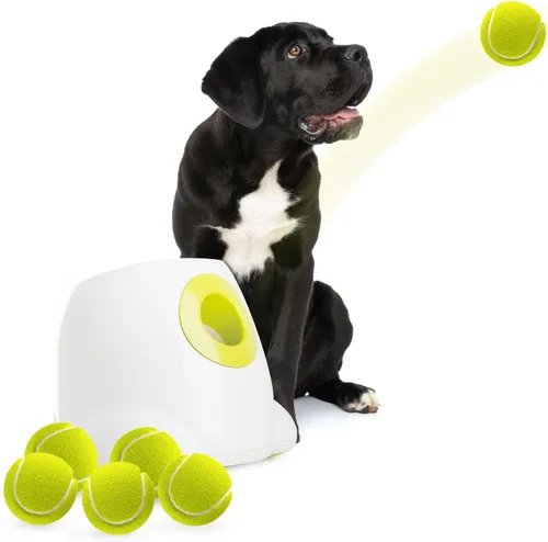 ALL FOR PAWS Lanzador automático de bolas para perros, juguetes interactivos para perros, incluye 6 pelotas de tenis para perros grandes