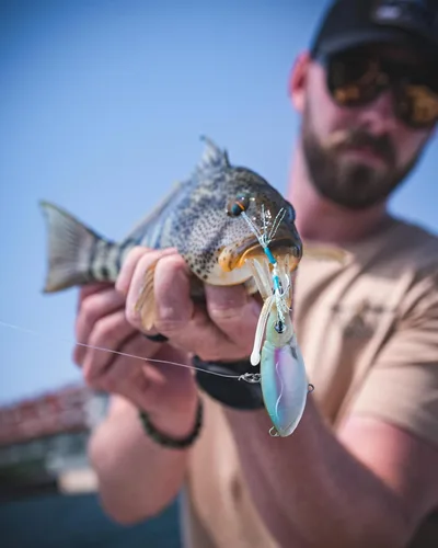 Miniatura 3 de Nomad Design Señuelo de pesca vibratorio patentado original de Squidtrex – Señuelo de plástico suave TPE con aroma añadido para agua salada