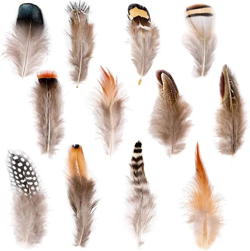 Ballinger 240 plumas naturales con 12 estilos surtidos de plumas para joyería y atrapasueños para decoración de manualidades 12 estilos/240 piezas