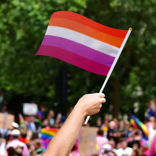 Miniatura 5 de Bandera Lesbiana Pequeña Mini Banderas de Orgullo Lésbico de Mano en Palos para Desfiles Fiestas Festivales Decoraciones Bandera de mano lesbiana