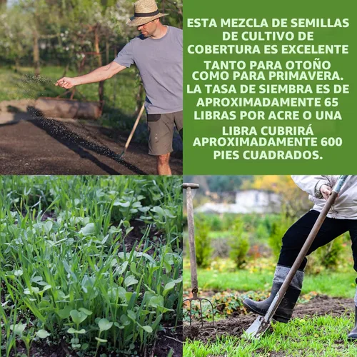 Miniatura 4 de Mezcla de semillas para cultivo sin labranza y cubierta de jardín y huerto - 2.27 Kg - Mezcla de semillas para cultivo de cubierta de jardín: vezo