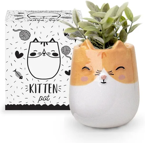 maceta de cerámica con forma de gatito para interiores y exteriores, 3 x 3 x 4 pulgadas, diseño lindo pintado a mano en Argentina, con conveniente
