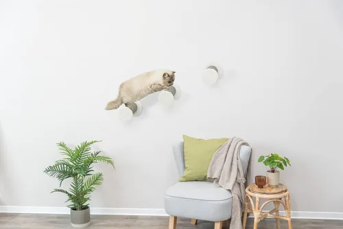 Miniatura 9 de Trixie Juego de vigilancia para gatos montado en la pared, estantes de escalada con escalones de sisal y plataformas de felpa, estantes para gatos