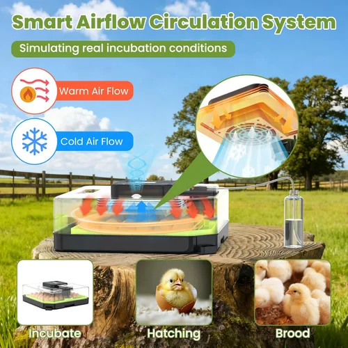 Miniatura 3 de Incubadora de 48 huevos para incubar huevos con giro automático de huevos, control de temperatura y humedad, incubadora de huevos con ventana