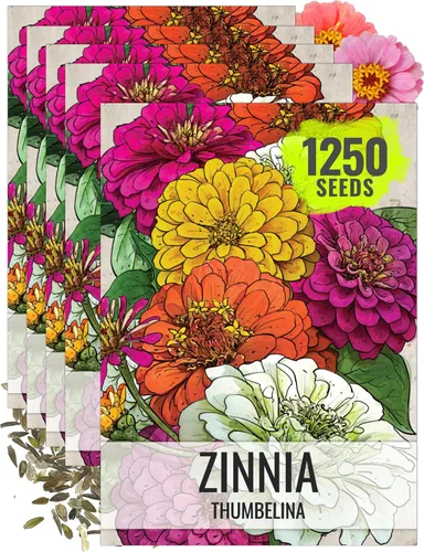 Miniatura 8 de Seed Needs Thumbelina Semillas de zinnia para plantar, flores anuales de corte enano de polinización abierta, cultiva un jardín de mariposas