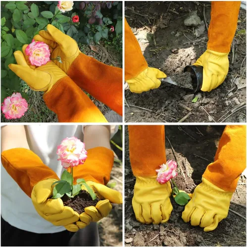 Miniatura 5 de Guantes de jardinería Acdyion para mujeres/hombres, poda de rosas, a prueba de espinas y cortes, protección larga de antebrazo, guante resistente