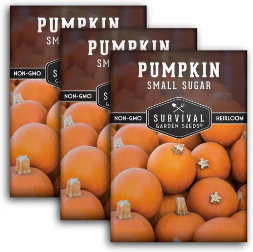 Miniatura 11 de Survival Garden Seeds - Semillas pequeñas de calabaza de azúcar para plantar - 1 paquete con instrucciones para cultivar calabazas de pastel