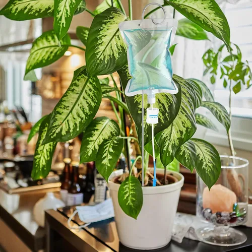 Miniatura 3 de Norme Juego de 6 piezas de riego por goteo para plantas, bolsa de agua de goteo de 500 ml (16.9 fl oz), regador de plantas con estacas de varilla