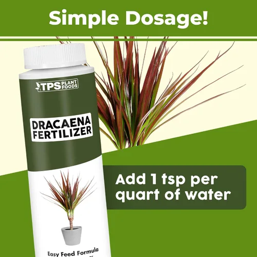 Miniatura 3 de Dracaena Fertilizante - Alimento líquido vegetal para hojas verdes ricas y crecimiento fuerte de la caña, 8 onzas