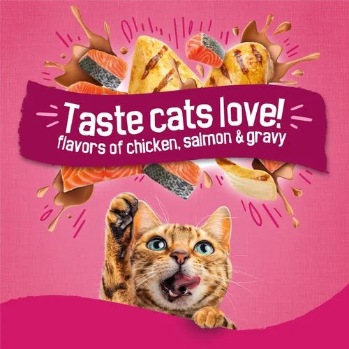 Miniatura 3 de Purina Friskies - Remolinos de salsa con sabores de pollo, salmón y salsa, comida seca para gatos, bolsa de 3.15 libras