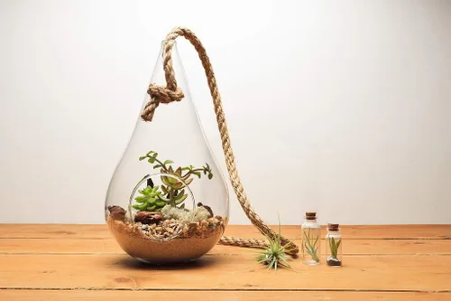 Miniatura 5 de WGV - Maceta colgante terrario, ancho de 6 pulgadas, altura de 11 pulgadas, suculentas de vidrio transparente para suculentas, contenedor floral
