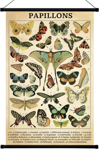 Geyee Póster vintage de mariposa para decoración de pared, arte rústico para colgar, gráfico de referencia ilustrativo, impresión de imagen para
