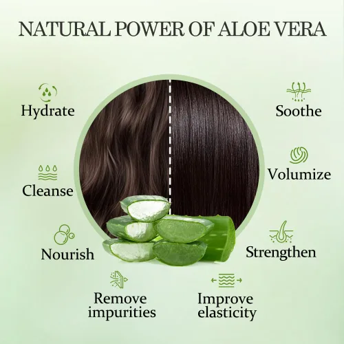 Miniatura 4 de Aloderma Set de cuidado del cabello de aloe vera: champú que controla el aceite, acondicionador nutritivo para el cabello
