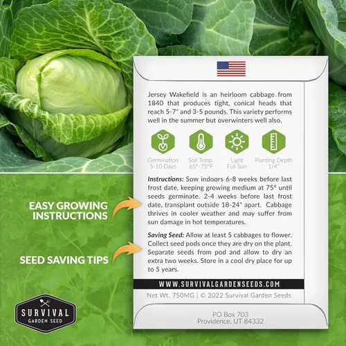 Miniatura 2 de Survival Garden Seeds - Semilla de col Jersey Wakefield para plantar - Paquete con instrucciones para plantar y cultivar repollos verdes