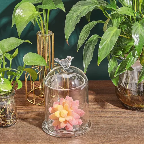 Miniatura 5 de CHGCRAFT Cubierta de cúpula de cristal con diseño de pájaro en forma de arco con base de vidrio, vitrina decorativa para portavelas, plantas