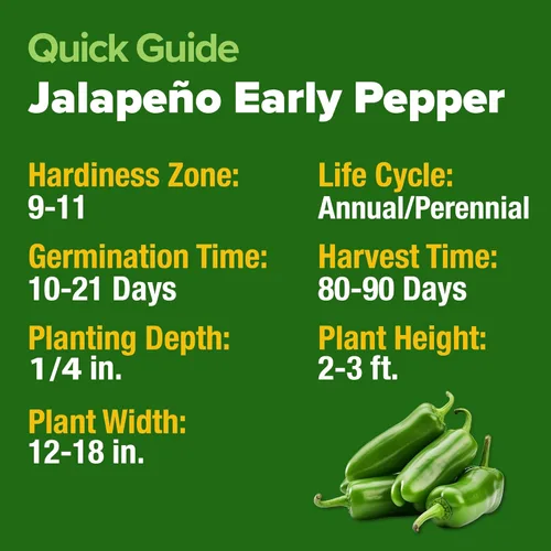 Miniatura 5 de HOME GROWN Semillas de pimiento jalapeño más de 129 semillas tradicionales sin OMG para plantar, alta germinación, pimientos picantes de calor suave