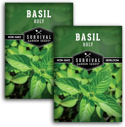 Miniatura 10 de Survival Garden Seeds - Semilla de Albahaca Sagrada para plantar - 1 paquete con instrucciones para plantar y cultivar la hierba sagrada india Tulsi