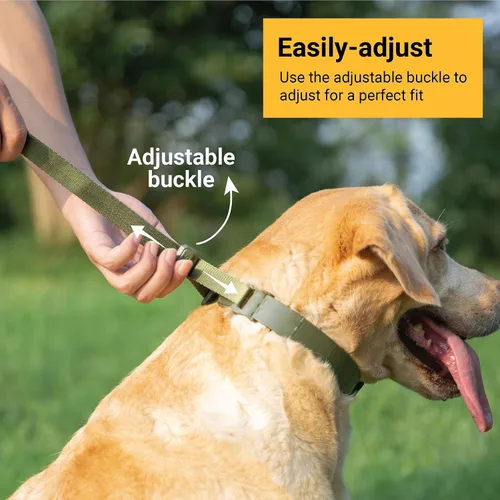 Miniatura 4 de SVD.PET Collar de punta para perro para entrenamiento sin tirones, hebilla de liberación rápida ajustable para perros pequeños