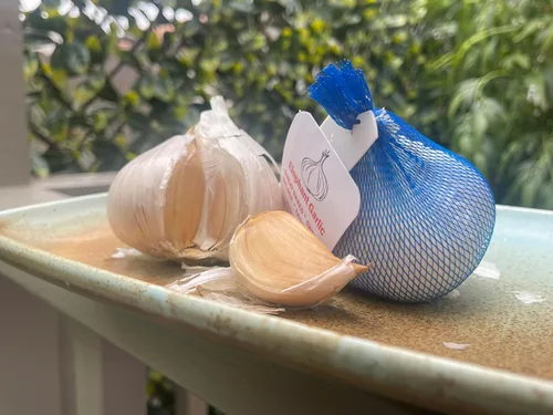 Miniatura 2 de Ajo de elefante. Cultivado en California. 2 bulbos enormes. Delicioso sabor más suave y suave. Ideal para cocinar, comer y plantar. Grandes