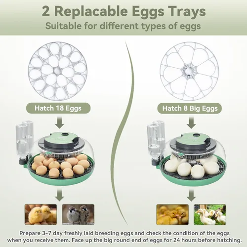 Miniatura 2 de Incubadora de 18 huevos con giro automático de huevos, unidad de eclosión con control digital y vela integrada, bandeja de huevos de 2 tamaños