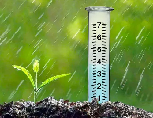 Miniatura 7 de BIUWING Tubo de repuesto para medidor de lluvia de vidrio de 7 pulgadas de capacidad para exteriores, patio, jardín con labio, mejor calificado