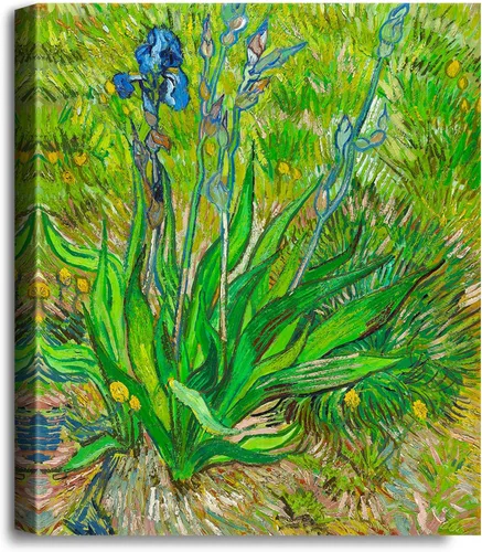 Miniatura 208 de A&T ARTWORK Noche estrellada sobre el Ródano de Vincent Van Gogh. Tamaño del marco: 36 x 30 pulgadas, tamaño de la imagen: 30 x 24 pulgadas