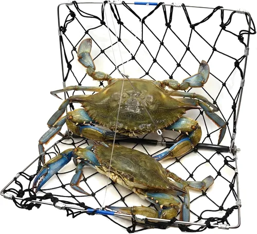 AirFly Foldable Castable Crab Trap - Crab Hawk & Crab Jaw Star Trap with Bait Clip - Portable Fishing Rod Crab Pot for Blue Crabs & Dungeness -