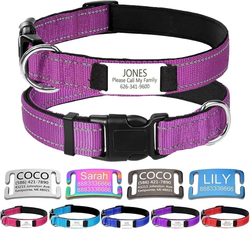 Miniatura 15 de Collares de perro personalizados, collar de perro con etiquetas de identificación de placa de nombre grabadas, collar de nailon ajustable Rosa