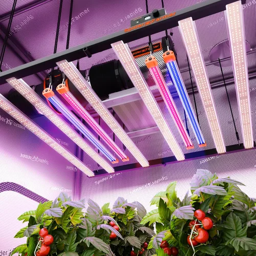Miniatura 8 de Spider Farmer Luz de cultivo LED UV30 e IR16 mejorada 2025, 365-370 nm UV y luz suplementaria IR de 730-745 nm para plantas de interior, tiendas