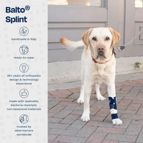 Miniatura 4 de Balto Férula de carpal/tarsal - Soporte para perro hiperextensión con férula de aluminio - Soporta fracturas y esguinces - Soporte de pierna