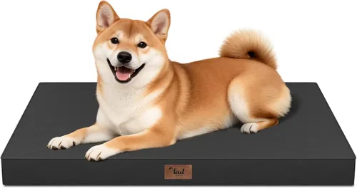 Miniatura 88 de Cama ortopédica de felpa para perros y cachorros medianos, camas impermeables para perros de 30 x 20 pulgadas con funda extraíble lavable, tapete