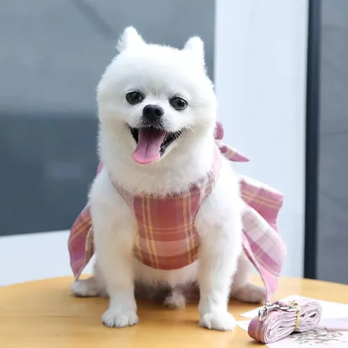 Miniatura 6 de PETCARE Vestido de perro a cuadros con pajarita y arnés para perros pequeños, gatos, niñas, lindos vestidos de princesa para perro, primavera, Rosa