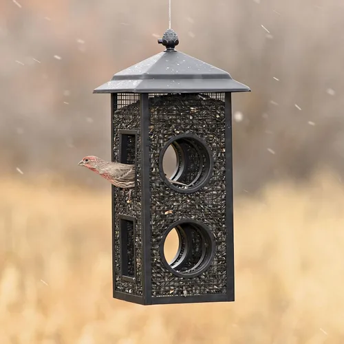 Miniatura 6 de Perky-Pet B00303 Comedero para pájaros silvestres con vuelo