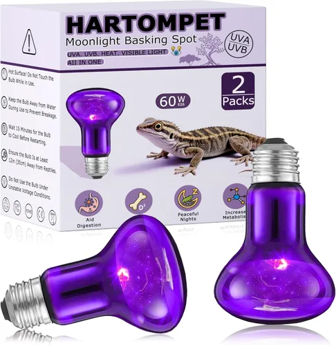 Miniatura 12 de Bombillas de lámpara de calor de reptiles de 60 W, luz de punto de calentamiento UVA de 2.5 pulgadas para dragón barbudo, lagarto, tortuga, pollitos