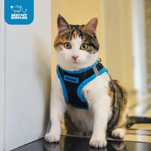 Miniatura 12 de Best Pet Supplies Voyager Step-in Air - Arnés de malla para todo tipo de clima, reflectante, antitirones, para perro y gato pequeño y mediano, Arnés