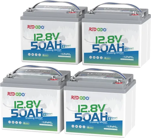 Miniatura 28 de Redodo Paquete de 3 baterías de litio de 12 V 100 Ah Grupo 24, ciclo profundo de 1280 Wh con BMS de 100 A, batería recargable de litio de más