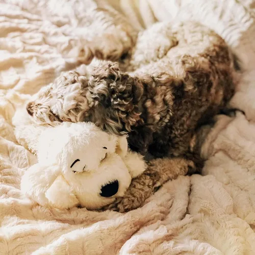 Miniatura 5 de Snuggle Puppy - Corazón SmartBeat de repuesto activado por movimiento para animales de peluche y juguetes antiansiedad para perros