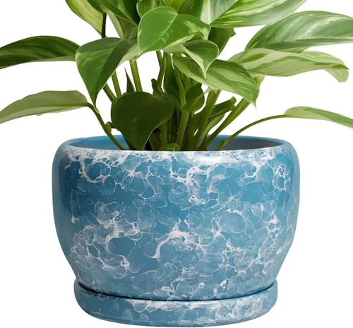 Miniatura 9 de SQOWL Macetas de cerámica – Maceta de 6 pulgadas con orificio de drenaje y bandeja, maceta redonda para plantas de interior, maceta decorativa