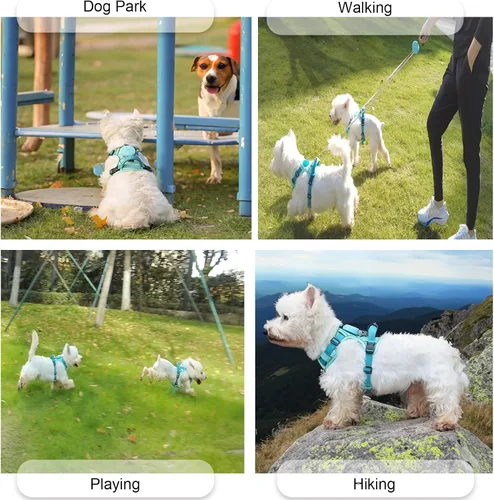 Miniatura 3 de Arnés para perros pequeños de hasta 16 libras, arnés ligero 3 en 1 sin tirones con correa retráctil de 6.6 pies, correa portátil, clip frontal, asa