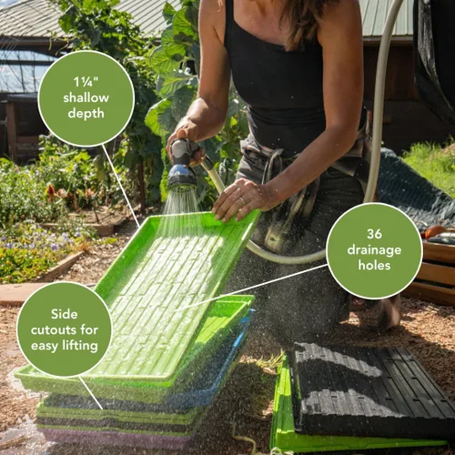 Miniatura 2 de Bootstrap Farmer - Bandejas Microgreen 1020, paquete de 5 bandejas de semillas extra resistentes y poco profundas con orificios - Cultivo
