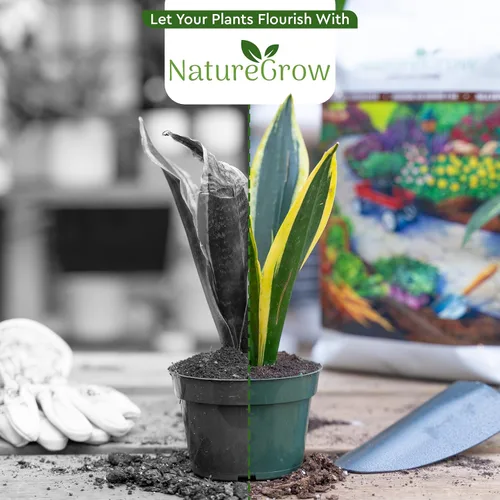 Miniatura 7 de Lombricomposta de Tierra - Fertilizante orgánico de 1 lb con ácido húmico - Lombricomposta pura para jardinería